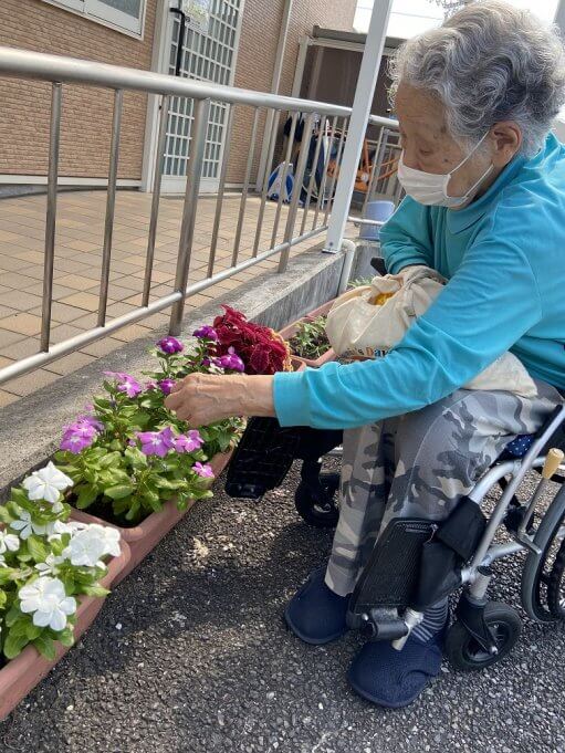 花が咲きました♪