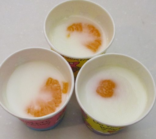 🍮おやつレクの紹介