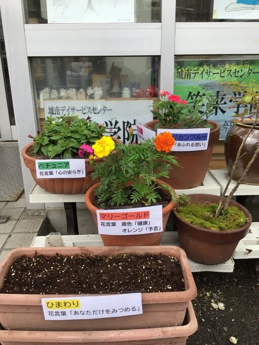 お花の植え替え🌻