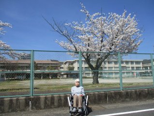 新年度の始まり