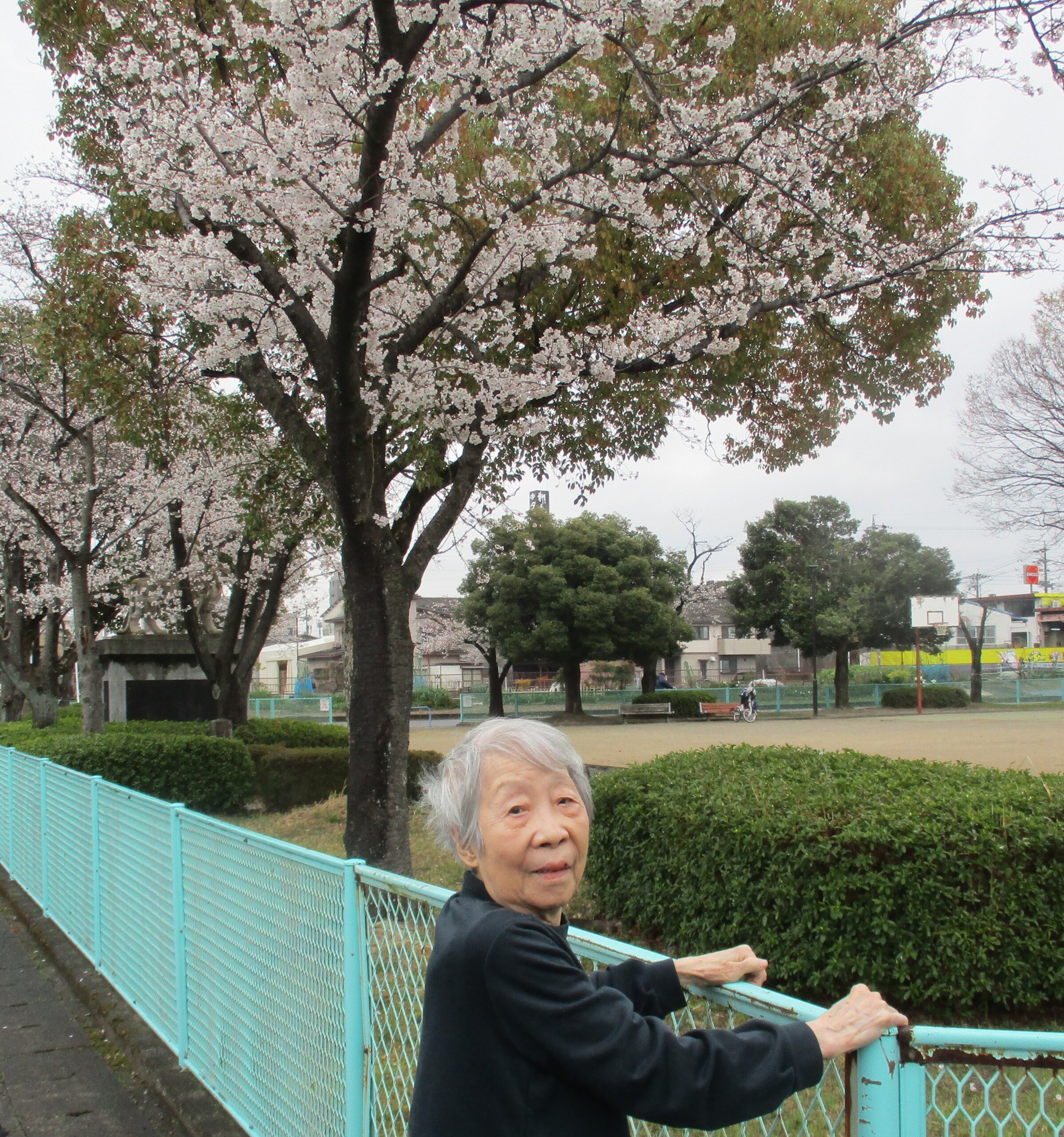 お花見へGO🌸🚙