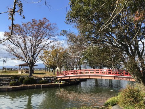 のどかな秋の風景