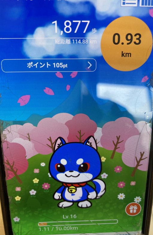 1カ月３０万歩を目指して！