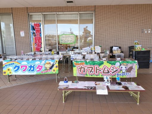「好きっ！」　この想いを届けたい！