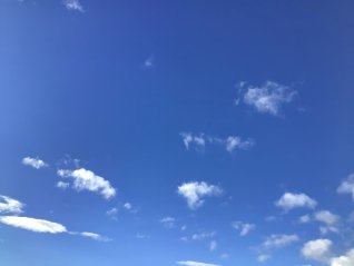 ありがとうの連鎖反応😊