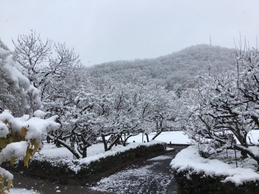 G☆star梅林の近くでいい景色