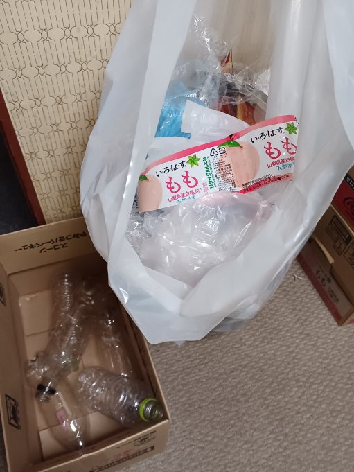 訪問時のプラスチックごみの分別