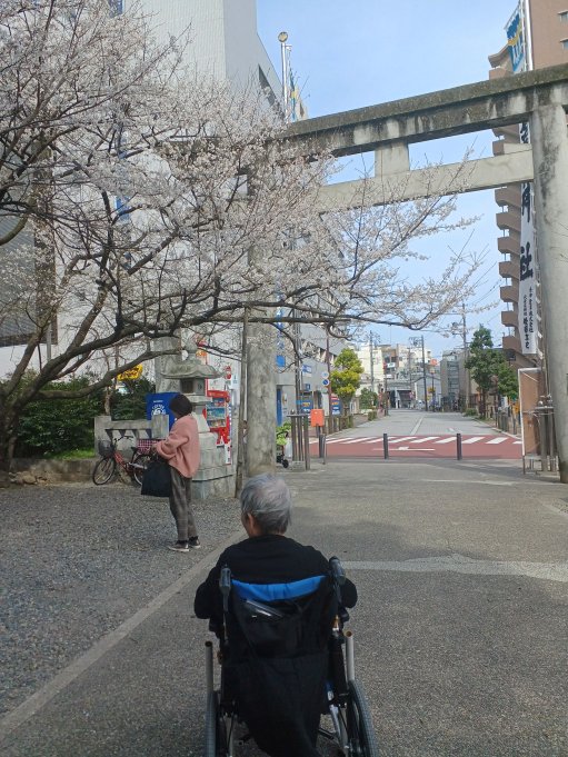 お花見🌸✨