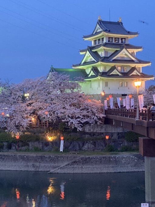 墨俣城と夜桜🌸