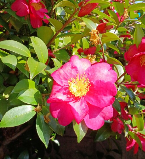 これからも定期巡回。