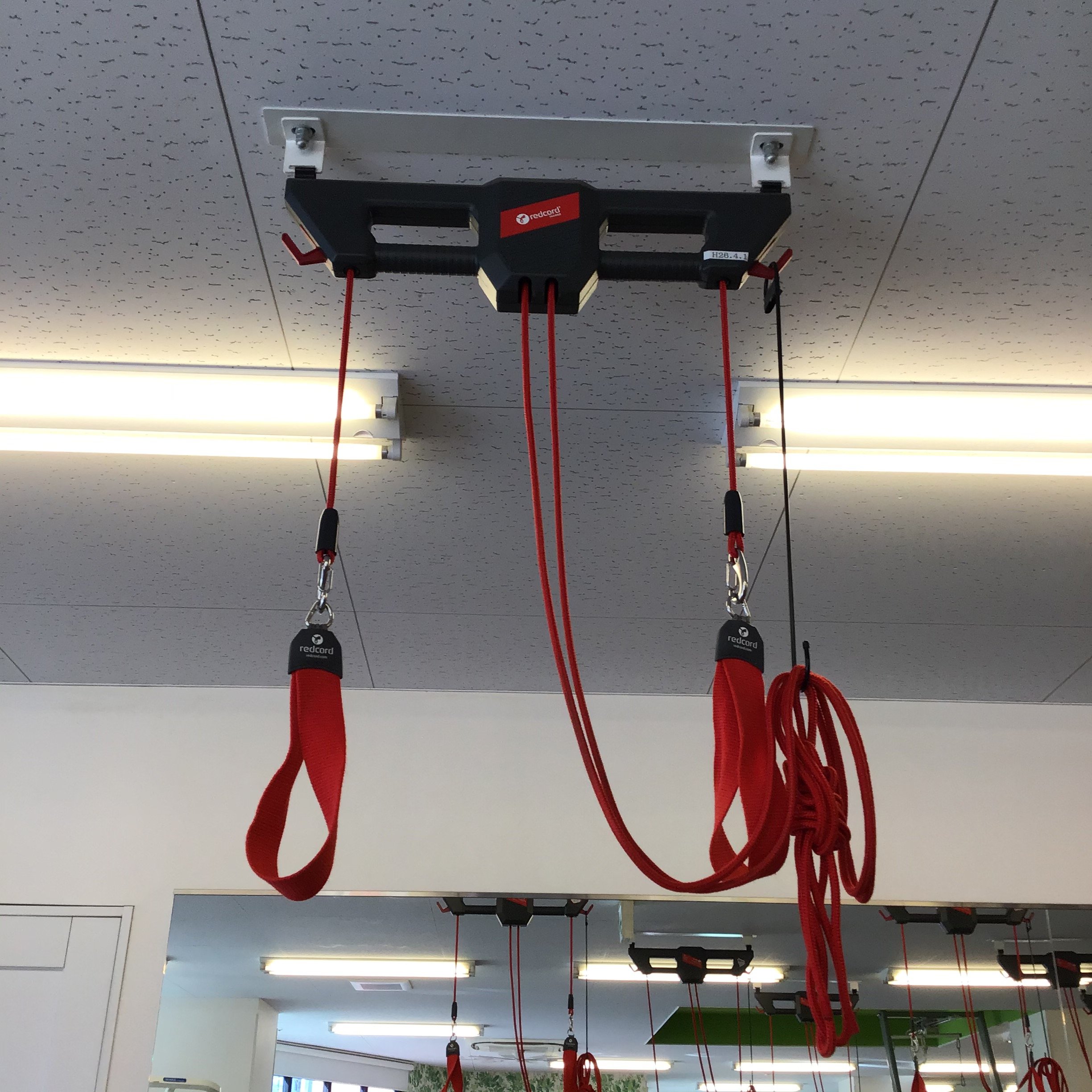 Redcord スリングトレーニング用プーリーシステム No.101398 Redcord スリングトレーニング用プーリーシステム No.101398 Redcord