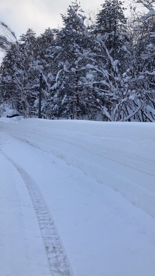 雪を見ると思い出します・・・