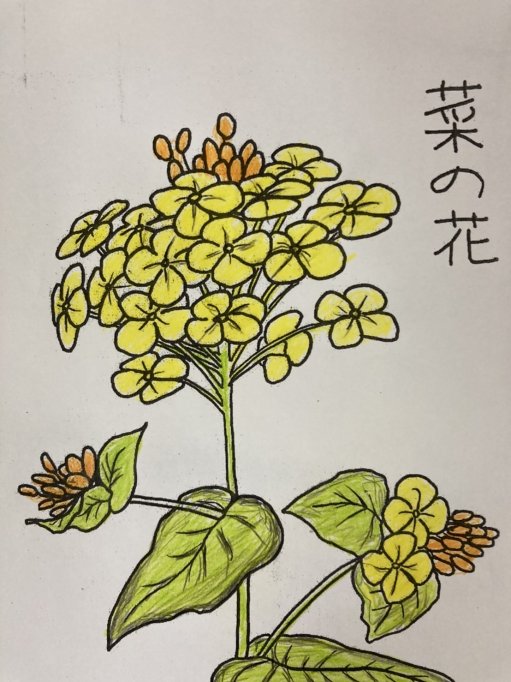 🌸お花見🌸 ｜和光会グループ介護事業部のブログ