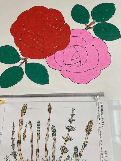 🌸お花見🌸 ｜和光会グループ介護事業部のブログ