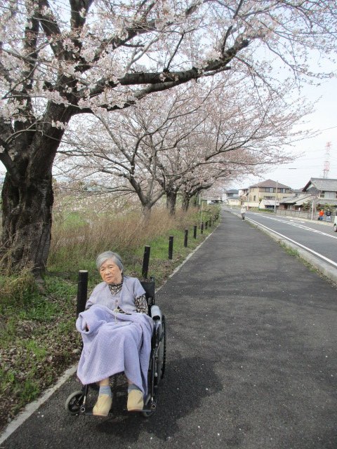 お花見で笑顔いっぱい！！