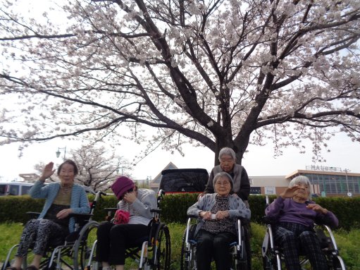 春は桜