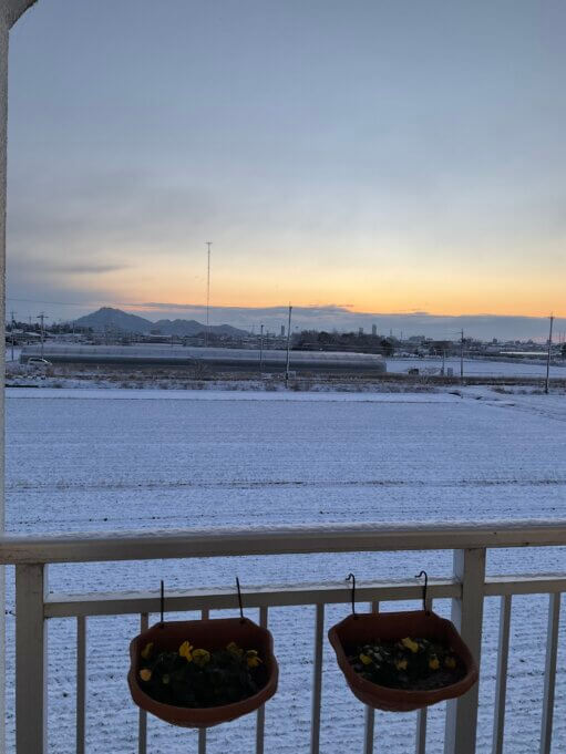 鬼と寒波の到来☃