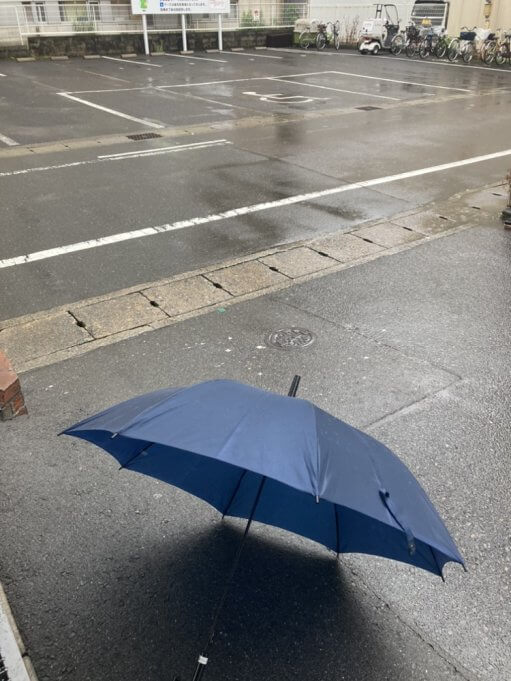 雨の日の訪問は・・・☔