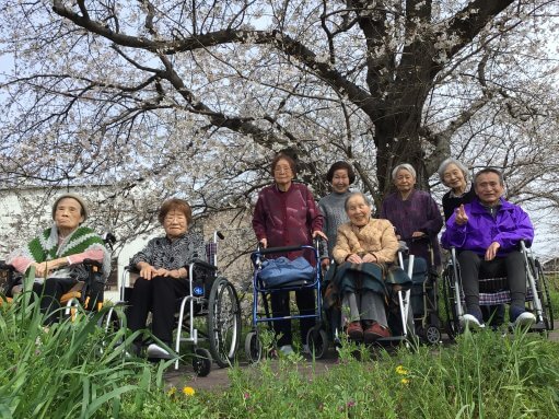 イベントシリーズ～お花見に行ってきました🌸～