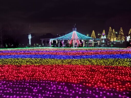 冬の夜の風物詩
