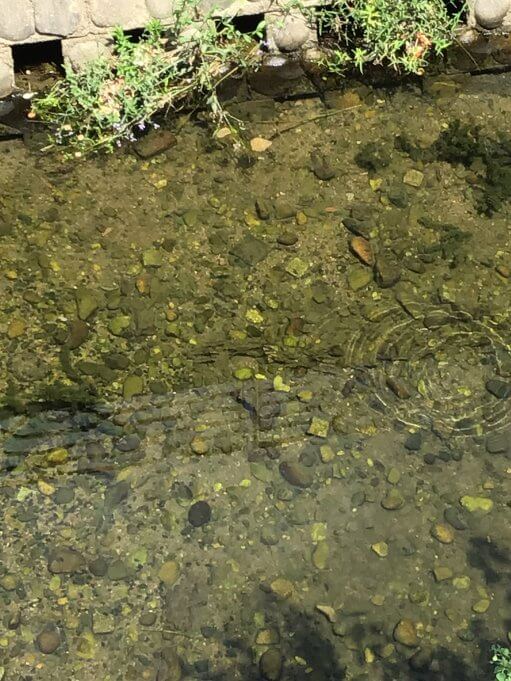 天神川ってどんな川　(?_?)　