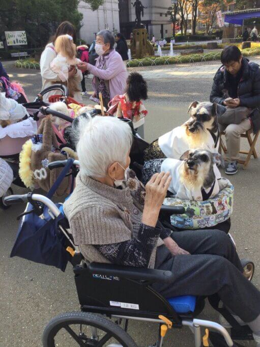 紅葉狩り　・・　岐阜公園