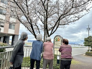 春のお散歩🌸