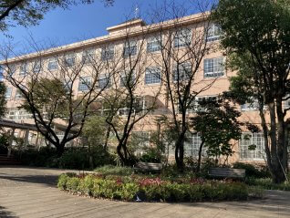 定期巡回・随時対応型訪問介護って?