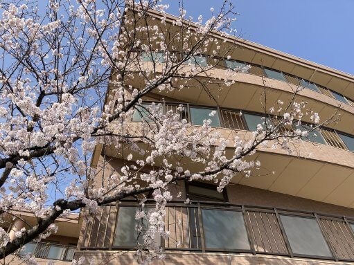 介護福祉士の合格おめでとうございます！！