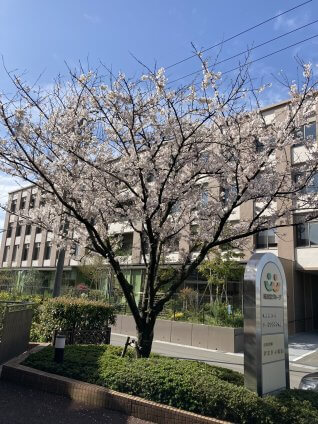 ようこそ和光会へ!!