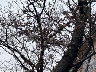 AIに聞いてみた